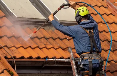 Démoussage et hydrofuge de toiture à Barbas